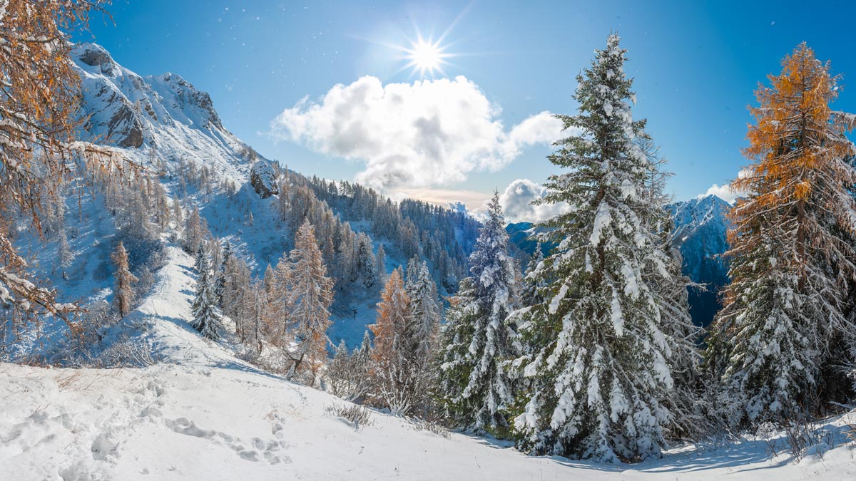 foppolo inverno