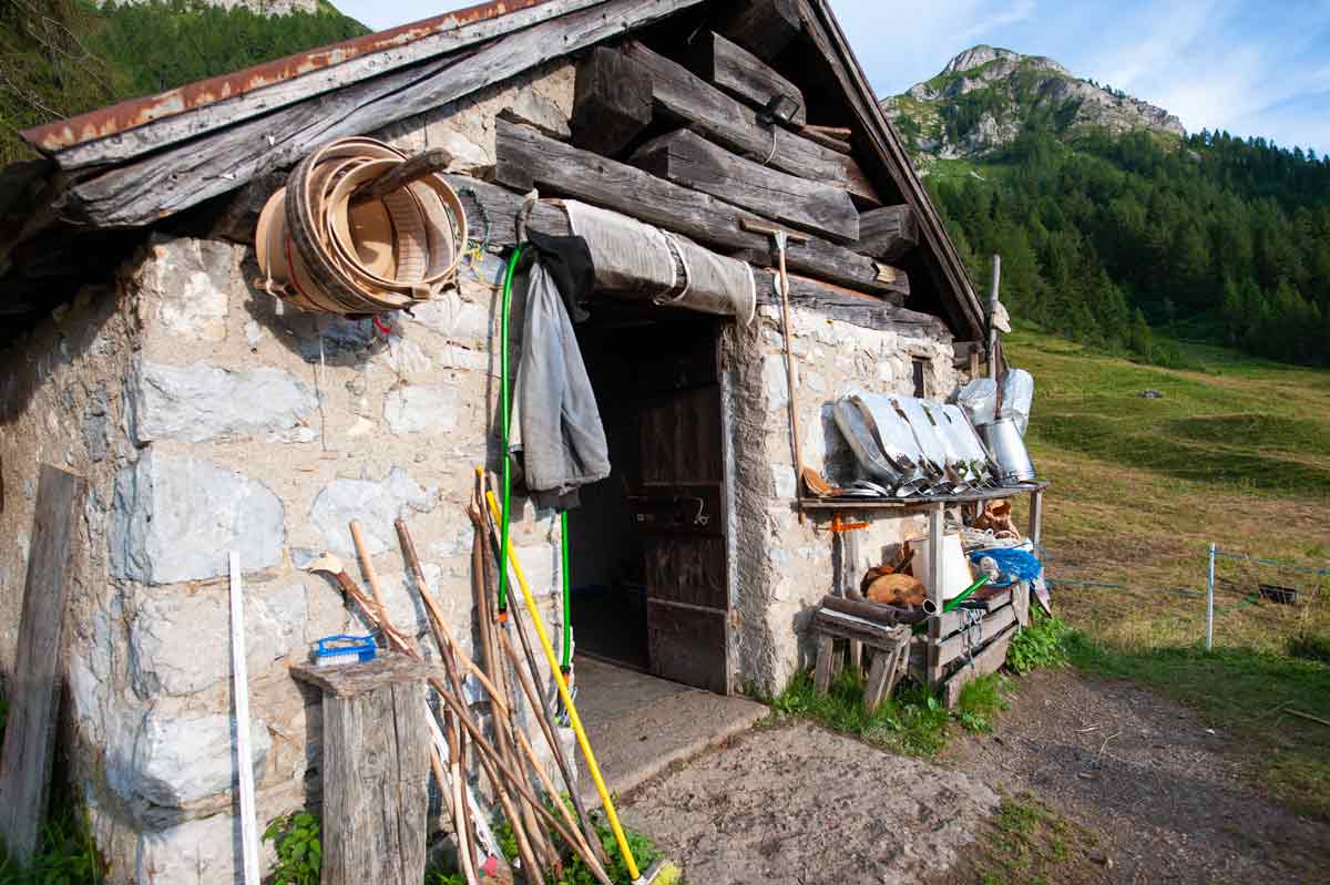 azienda agricola berera foppolo